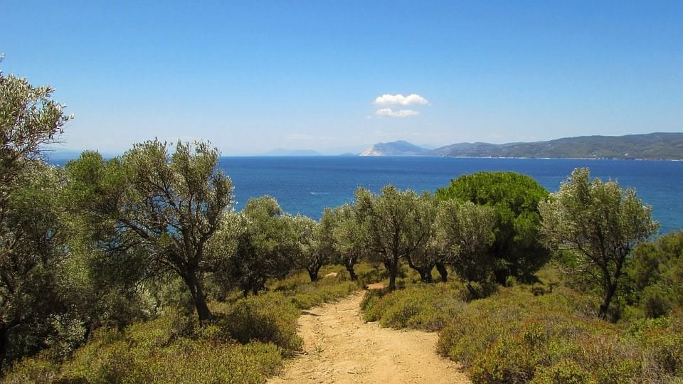 Adventure car rental; Explore Skiathos Island and Karpenisi with Adventure Car Rental. Rent a car, ATV, or motorbike with no hidden fees and 24/7 support.